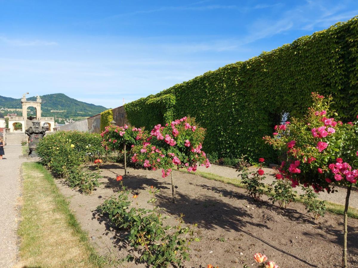 Apartments Rose Garden Decin Eksteriør bilde